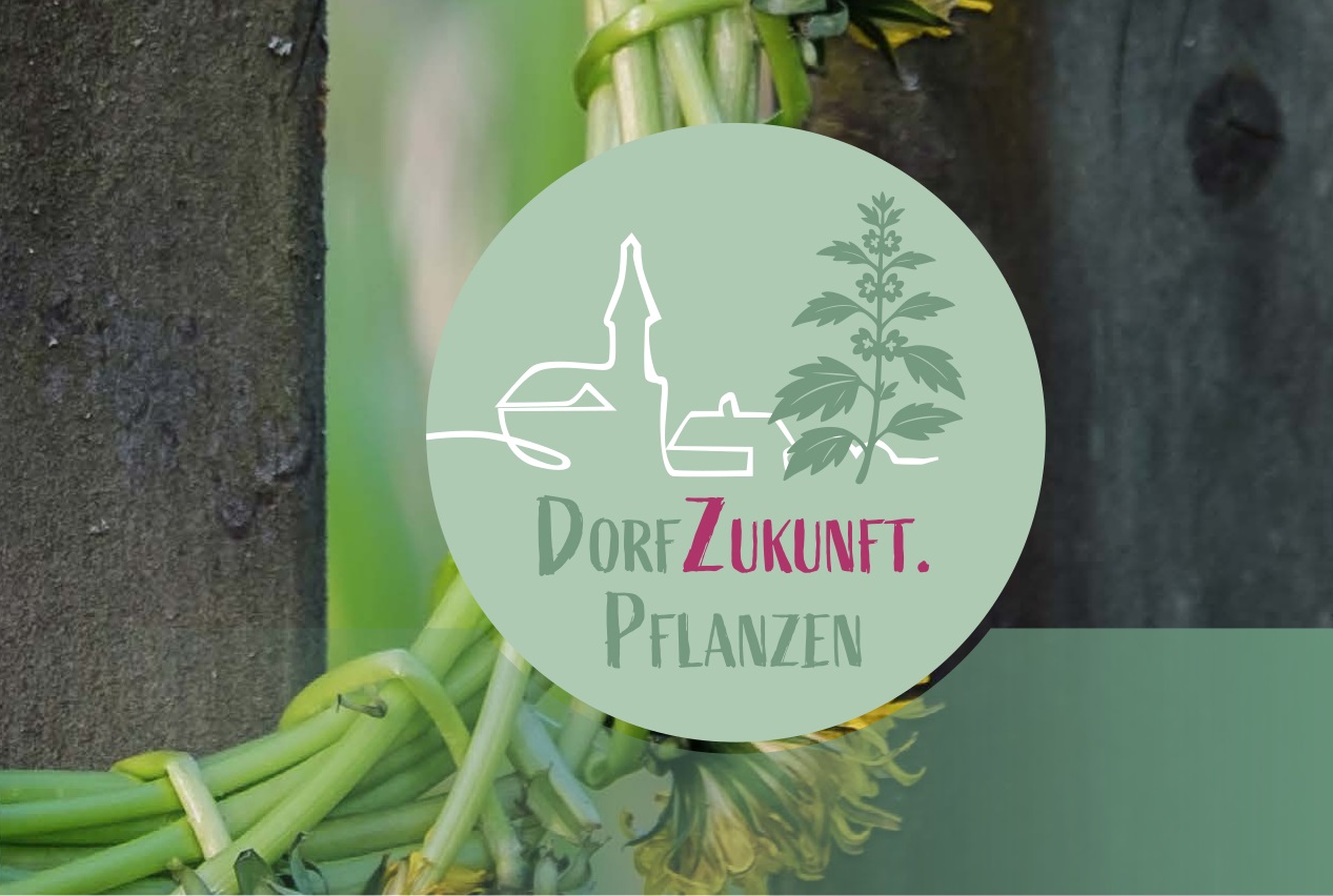 Veranstaltungen – DorfZukunft.Pflanzen | Bad Wünnenberg & Büren